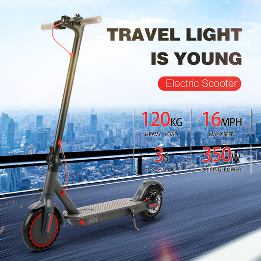 36V 350W Foldable Electric Scooter
