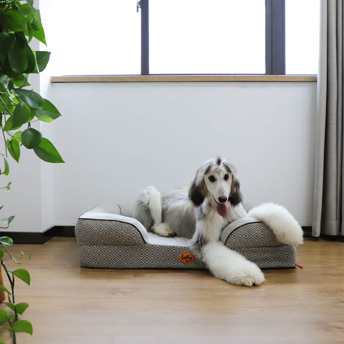 Laifug Plaid Durable Pet Sofa-9