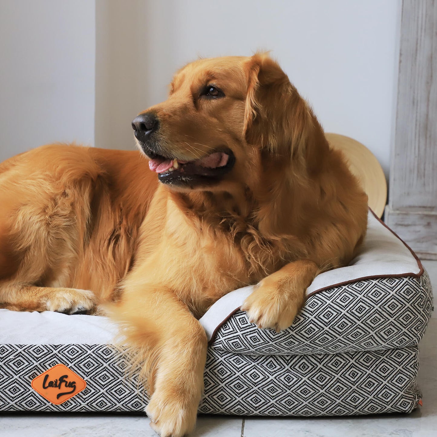 Laifug Plaid Durable Pet Sofa-8