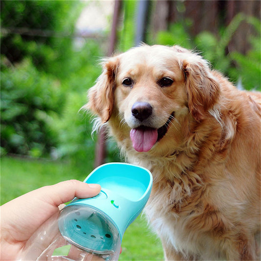 Portable Water Bottle for pets