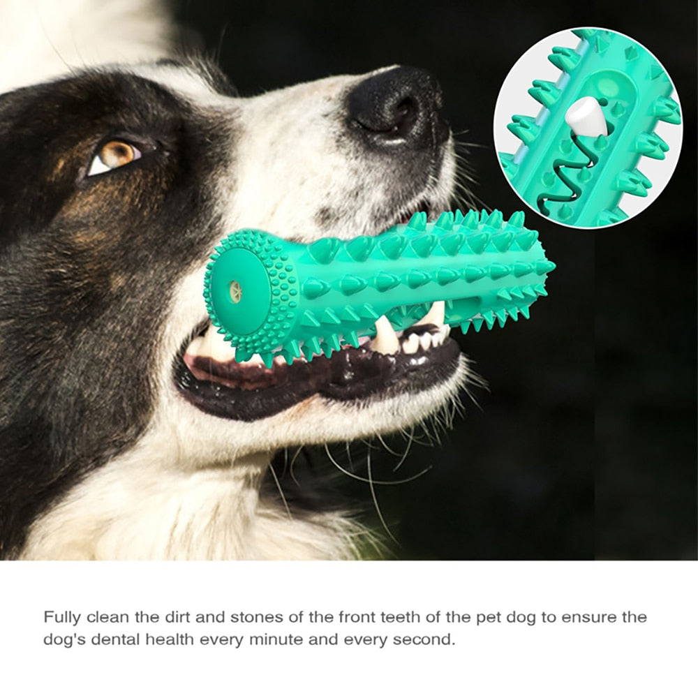 Dog Molar Chew toy