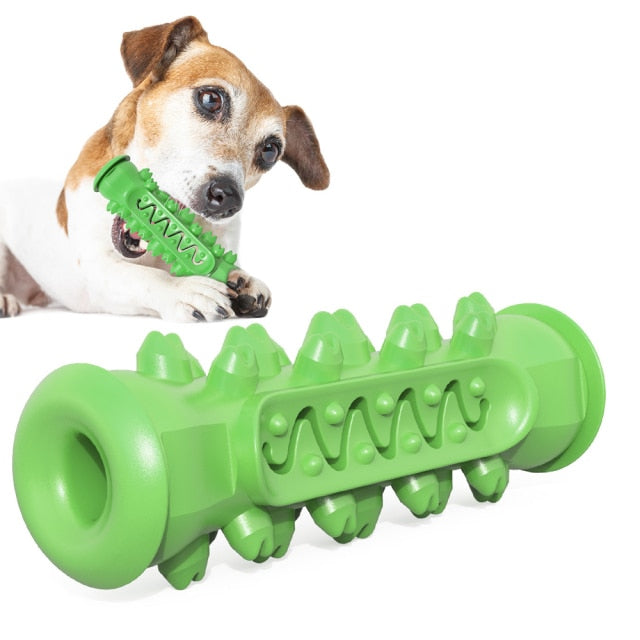 Dog Molar Chew toy